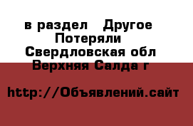  в раздел : Другое » Потеряли . Свердловская обл.,Верхняя Салда г.